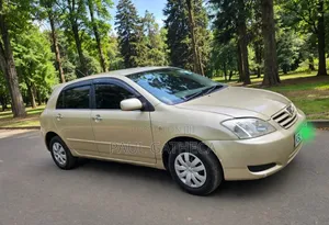 Toyota Corolla RunX 2004 Gold