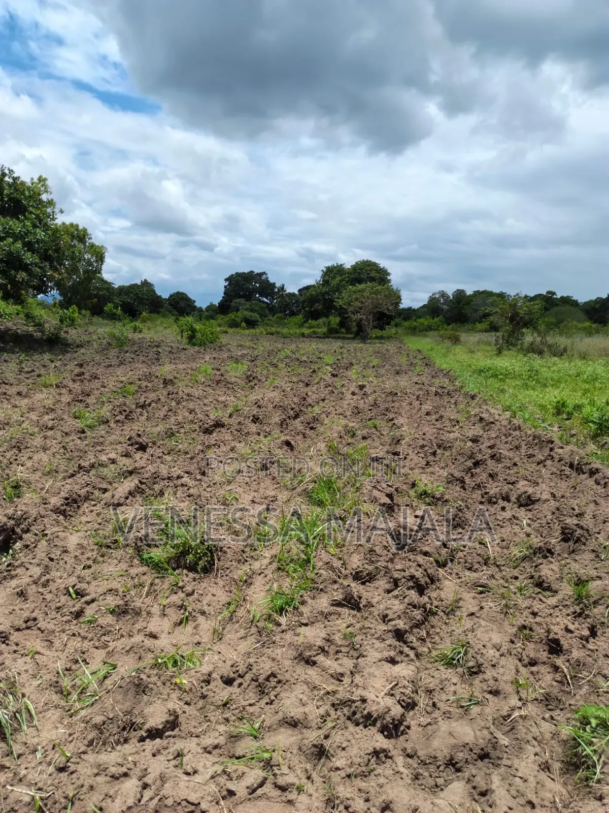 Plot for Sale