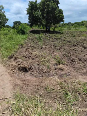Plot for Sale