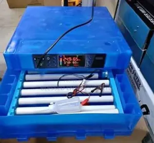 New Arrival 64 Egg Incubator AC DC Power