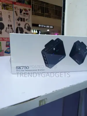 SK750 Wireless Microphone System for Interviews Live Streaming