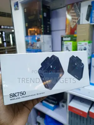 SK750 Wireless Microphone System for Interviews Live Streaming