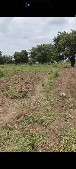 Plot for Sale