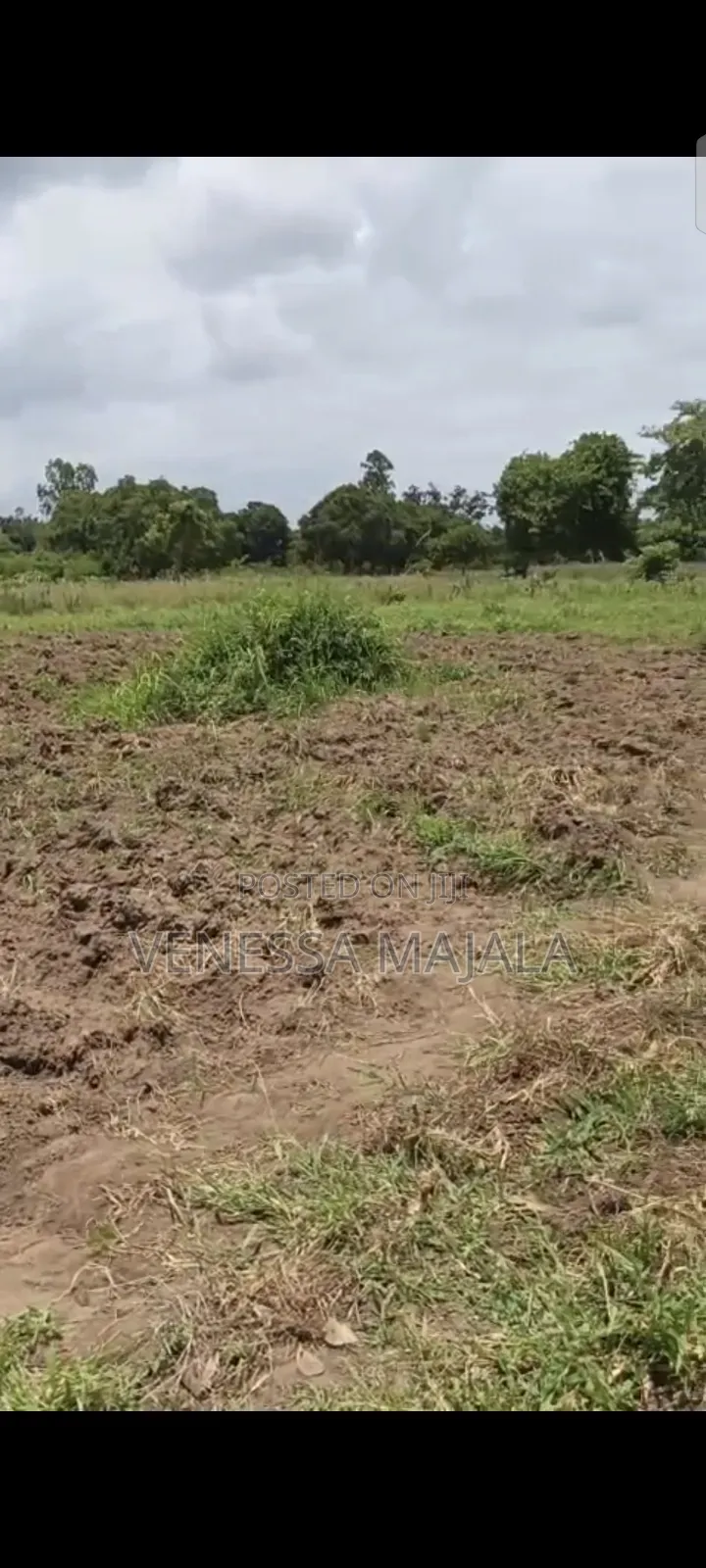 Plot for Sale