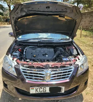 Toyota Premio 2009 Maroon