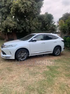 Toyota Harrier 2.0 2019 Pearl