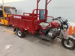New Tricycle 2025 Green