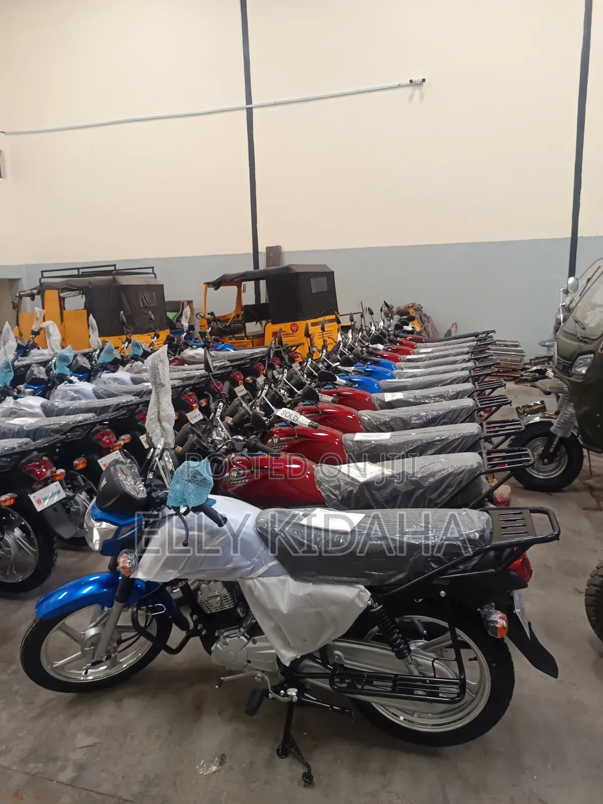 New Tricycle 2025 Green