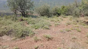 Land for Lease Behind Ngong