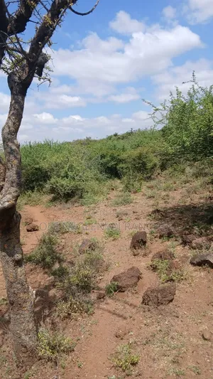 Land for Lease Behind Ngong