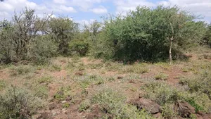 Land for Lease Behind Ngong