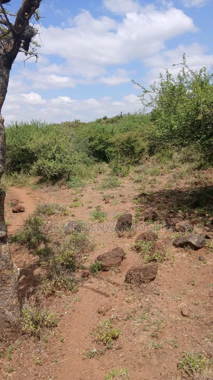 Land for Lease Behind Ngong