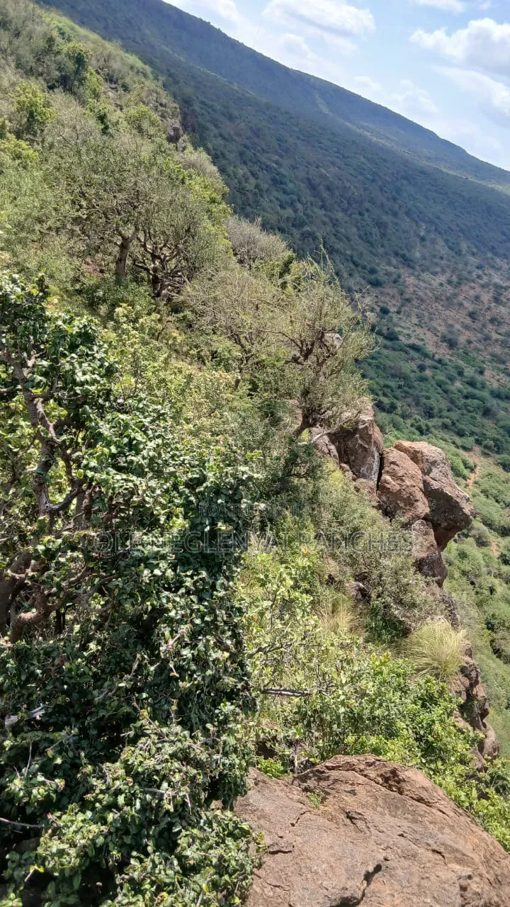 Land for Lease Behind Ngong