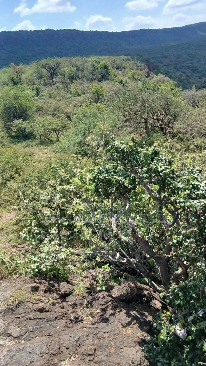 Land for Lease Behind Ngong