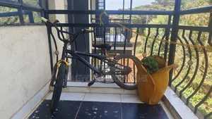 Kids Bike Size 18