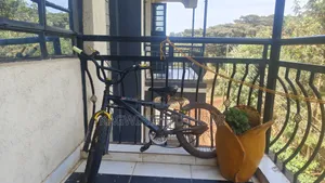 Kids Bike Size 18