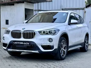 BMW X1 2019 Pearl