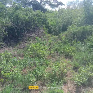 5 Acres for Sale With Ready Title Deed