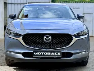 Mazda CX-30 2019 Gray
