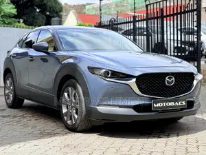 Mazda CX-30 2019 Gray