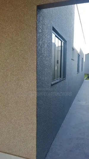 Professional Painting Services