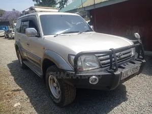 Toyota Land Cruiser Prado 2003 Gray