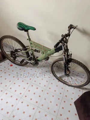 Full Suspension Mountain Bike