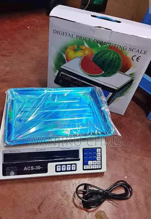 Acs 30 Digital Computing Scale 30kgs