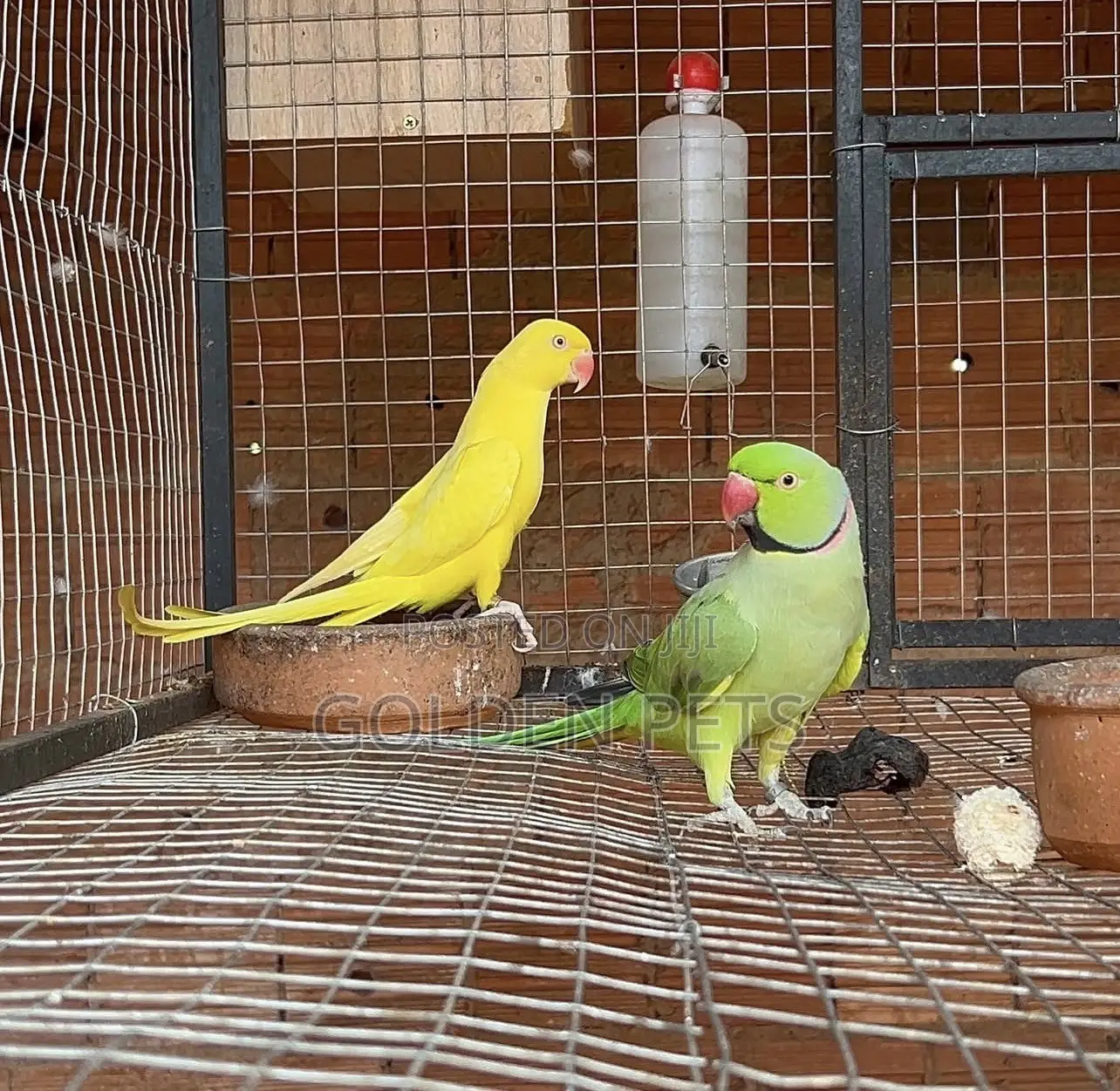 Bonded Pairs