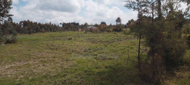 Fertile Land Now Selling!