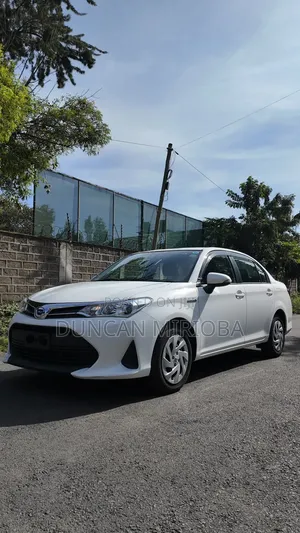Toyota Axio 2019 White