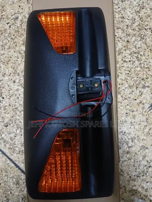 Side Mirror With Both Signal Available