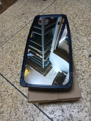 Side Mirror With Both Signal Available