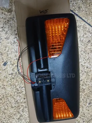 Side Mirror With Both Signal Available