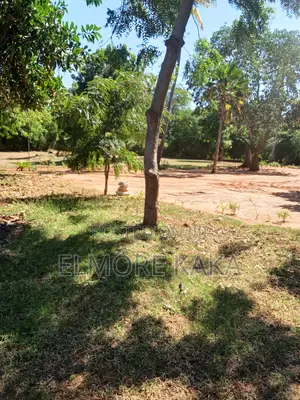 Prime 2nd Row Beachfront Land for Sale – Shanzu, Mombasa