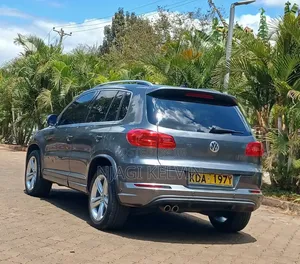 Volkswagen Tiguan 2015 Gray
