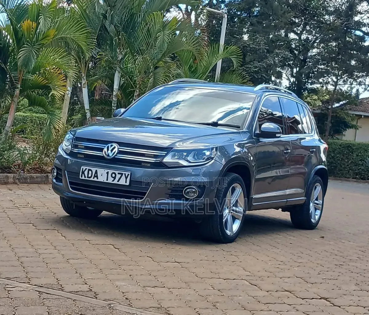 Volkswagen Tiguan 2015 Gray