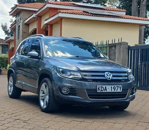 Volkswagen Tiguan 2015 Gray