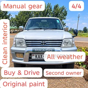 Toyota Land Cruiser Prado 2001 Silver