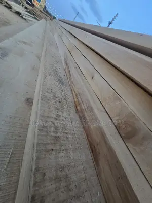 Pine Pine Timber Available