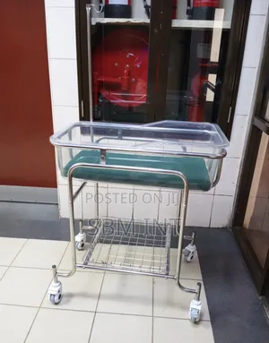 Baby Bassinet (Stainless Steel With Wheels)