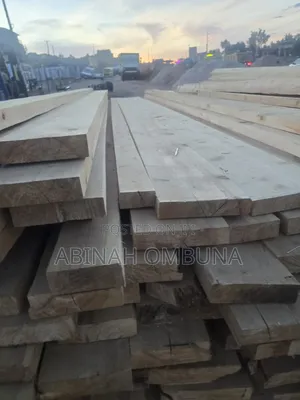 Cypress Cypres Timber