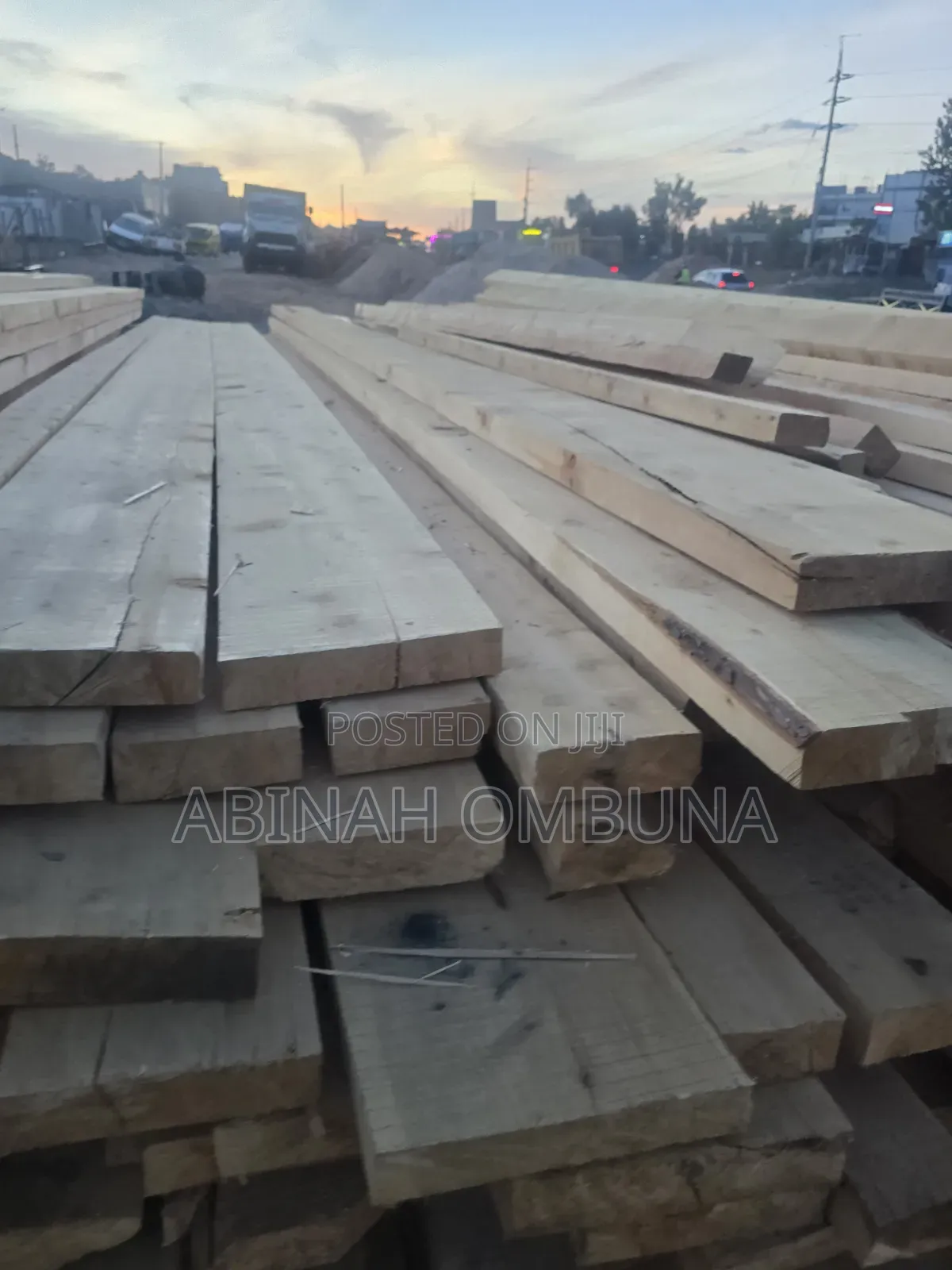 Pine Pine Timber