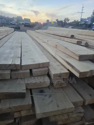 Pine Pine Timber