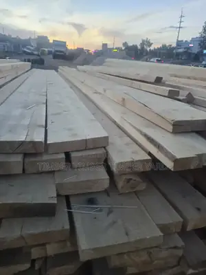 Pine Pine Timber