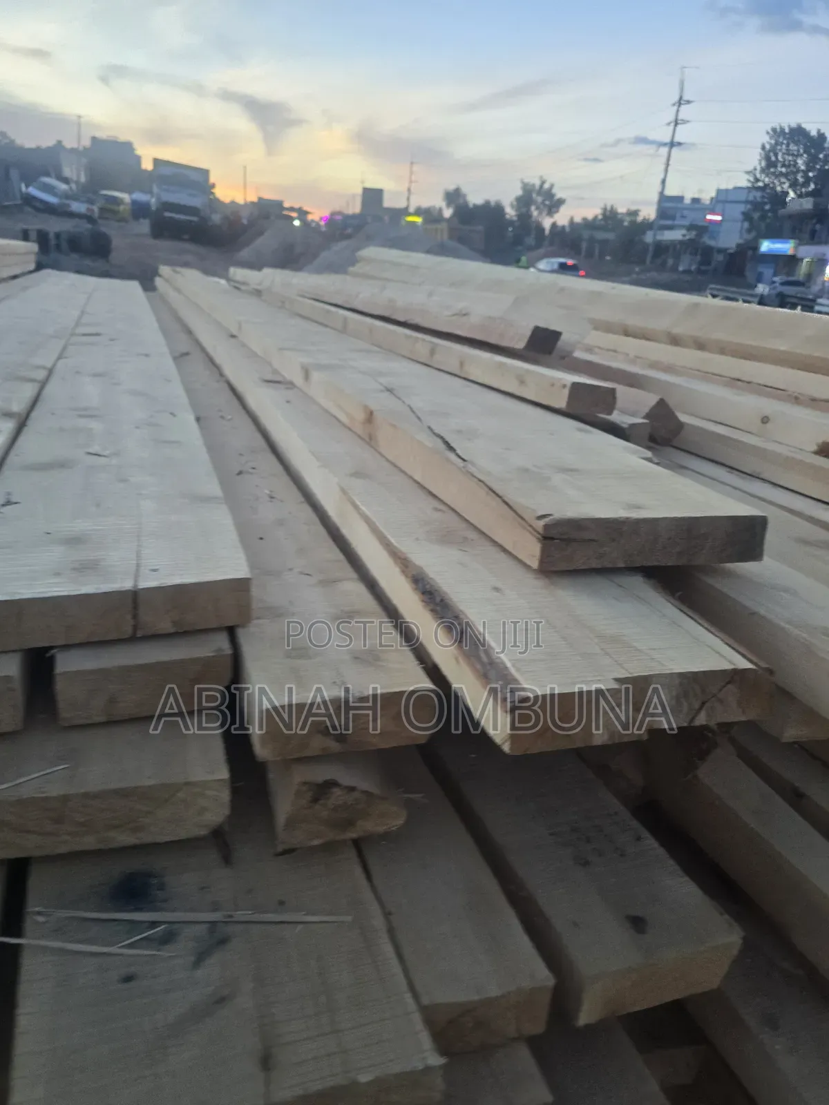 Pine Pine Timber
