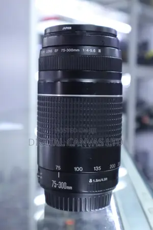 Canon 75-300Mm Lens