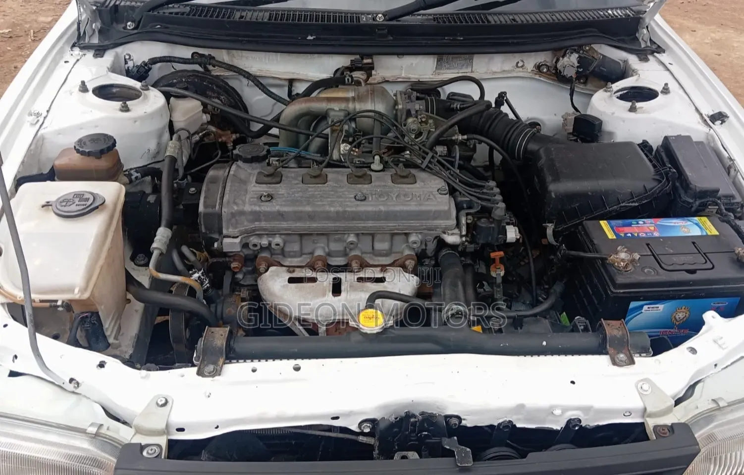 Toyota Corolla 2001 White