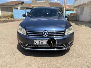 Volkswagen Passat TDI SE 2013 Blue