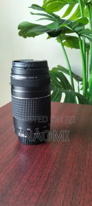 Canon EF 75- 300mm Lens